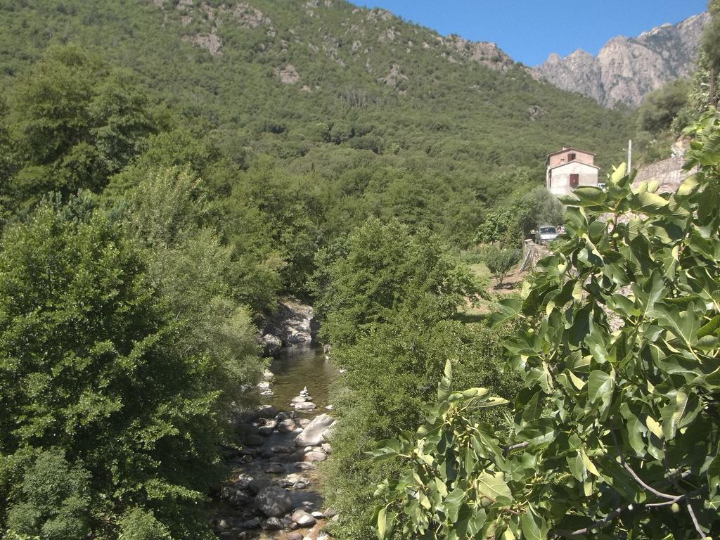 Appartement Centre-Ville Corte  Oda fotoğraf